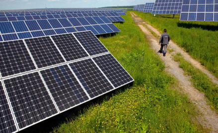 Bankructwo nadziei niemieckiego przemysłu solarnego