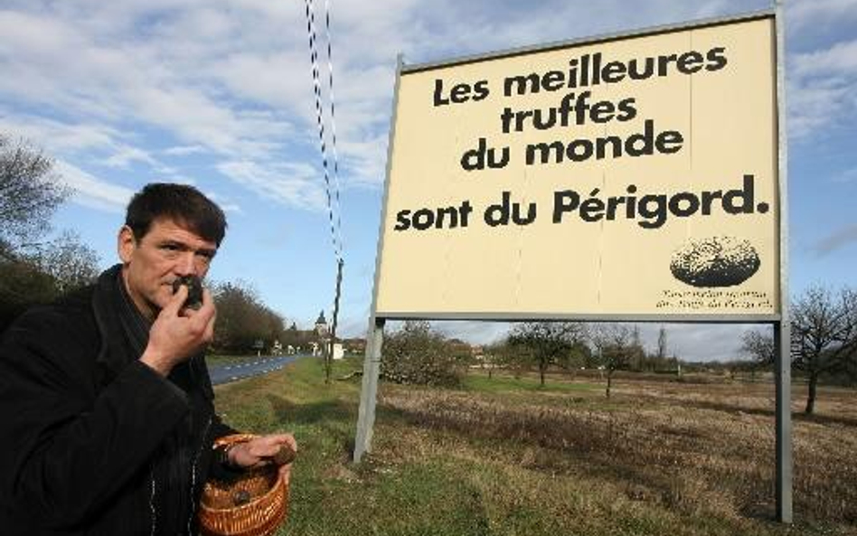 W Périgord można szukać trufli