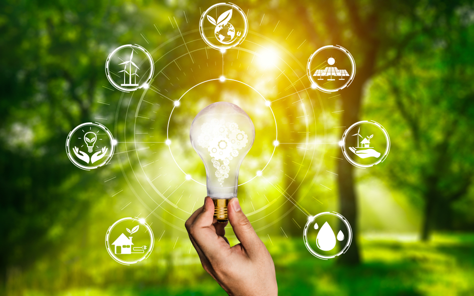 Duże przedsiębiorstwa coraz więcej inwestują w Odnawialne Źródła Energii