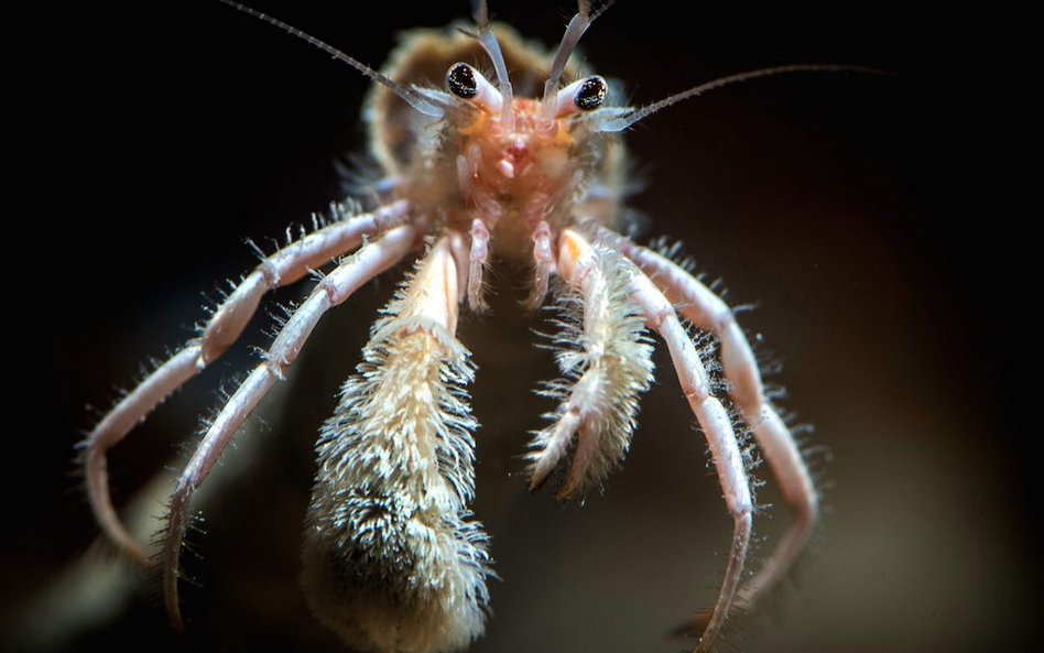 „Błękitna Planeta II”, odcinek 2