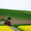 Rodzime rolnictwo zapewnia krajowi samowystarczalność żywnościową