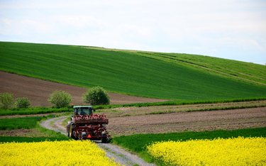 Rodzime rolnictwo zapewnia krajowi samowystarczalność żywnościową