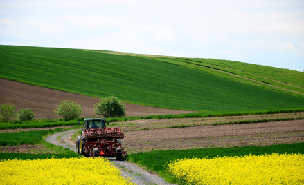Rodzime rolnictwo zapewnia krajowi samowystarczalność żywnościową