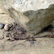 Naukowcy planują wykonanie badań genetycznych kości człowieka z grobu.