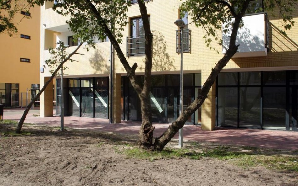 Ile za najem mieszkania