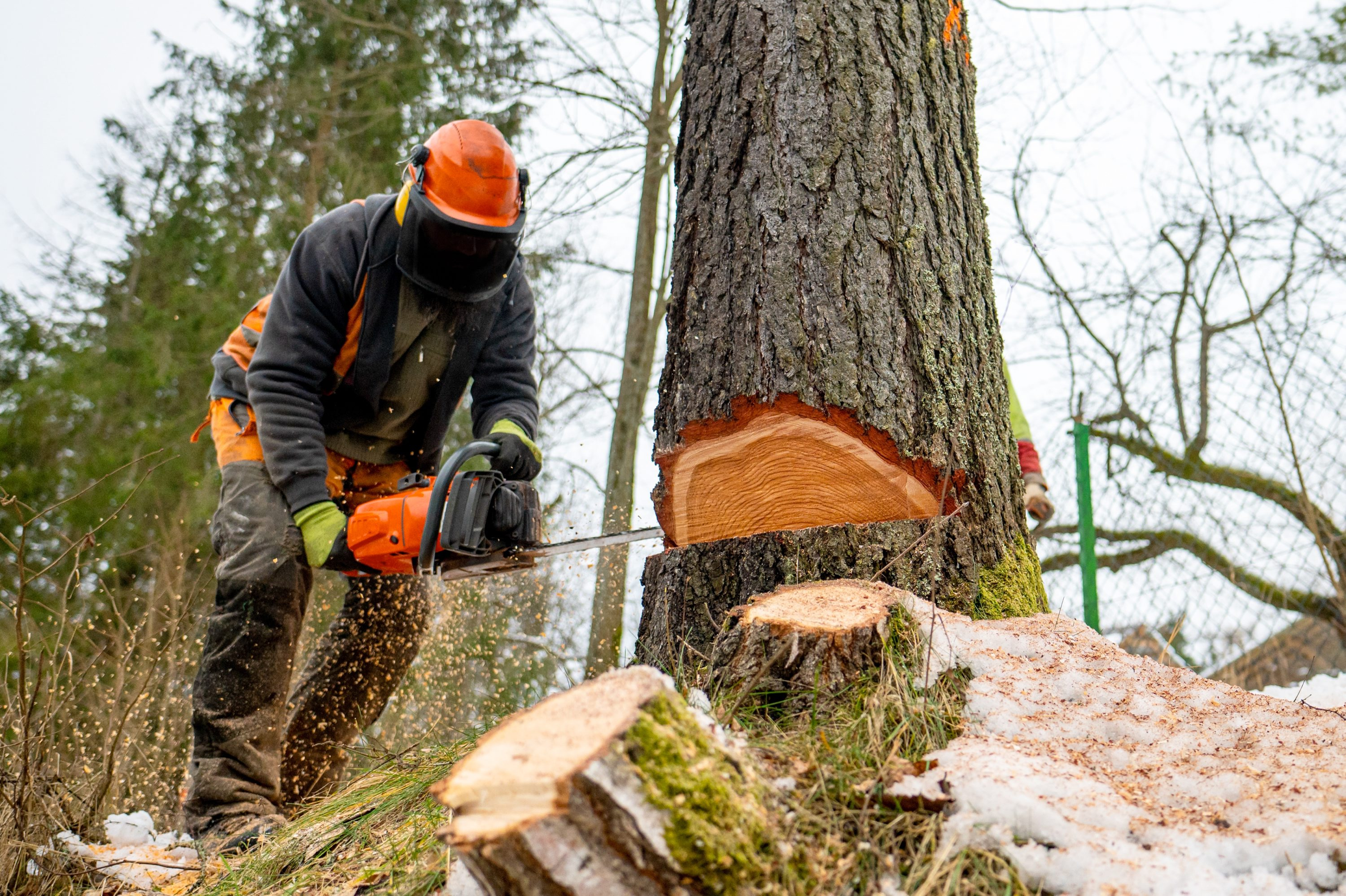 Transformacja napędzana biomasą