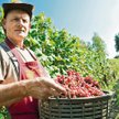 Najpierw kosztowne hobby, potem biznes