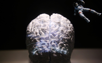 Naukowcy połączyli mózgi trzech osób