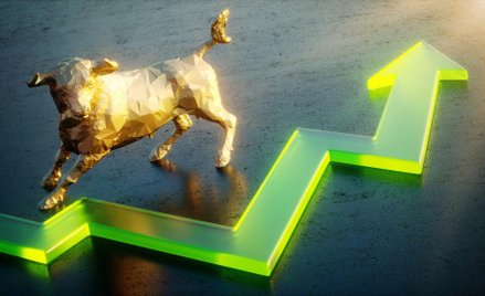 Byki tygodnia, czyli trzy spółki z szansami na zwyżki...