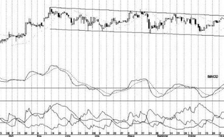 Byki tygodnia, czyli trzy spółki z szansami na zwyżki notowań...