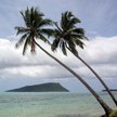 Wysepki z palmami tuż nad wodą, jak Samoa, mogą zniknąć do końca stulecia