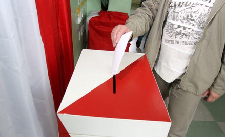 Zróbmy referendum, wprowadźmy euro