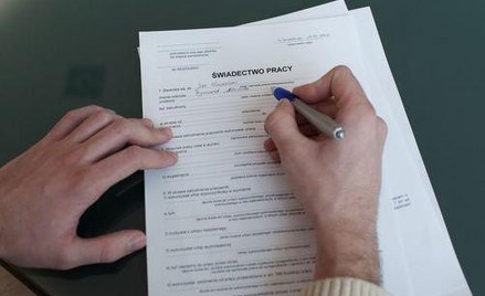 W świadectwie umieszczamy datę nawiązania stosunku pracy