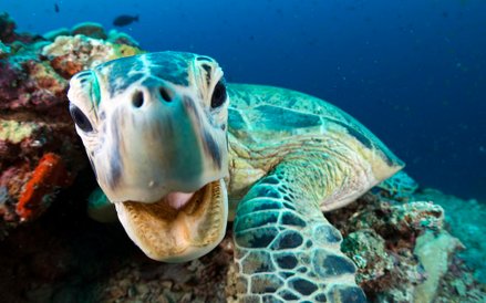 „Błękitna Planeta II”, odcinek 3