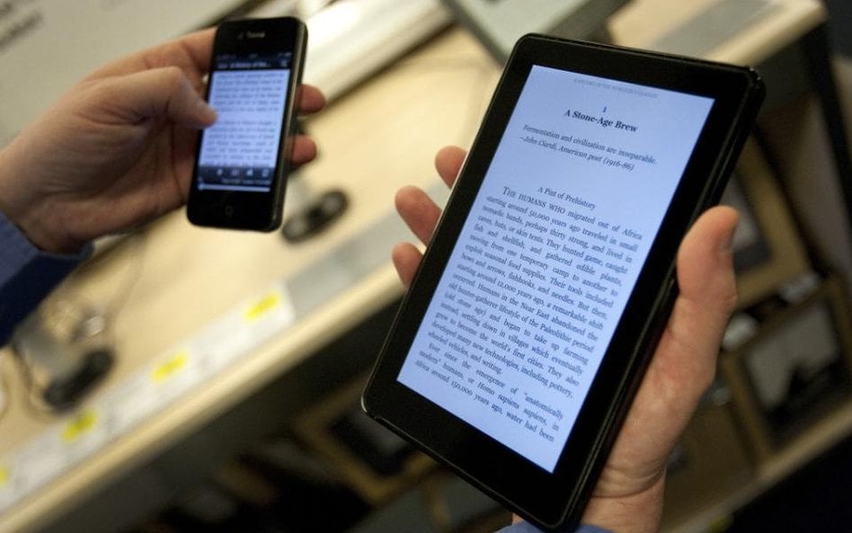 W Pol­sce ry­nek e-bo­oków do­pie­ro racz­ku­je. Jego wartość szacowana jest na na 6 – 9 mln zł.
