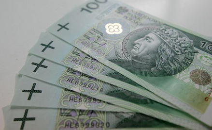 OECD: Polski dług publiczny sięgnie maksimum