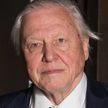 David Attenborough: Ludzie mają dość Unii Europejskiej