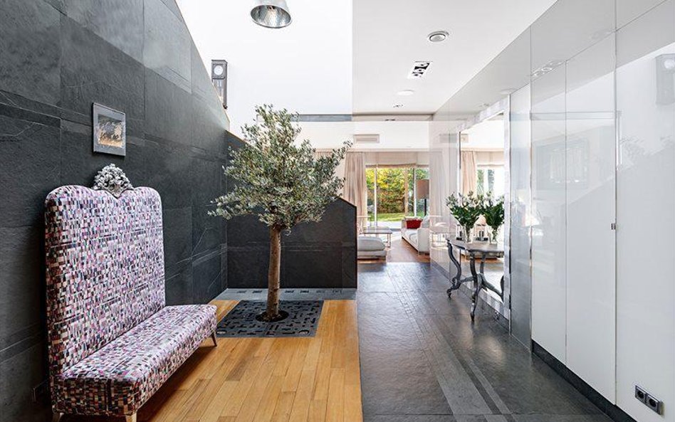 Nietypowy element wystroju – drzewo oliwne w holu