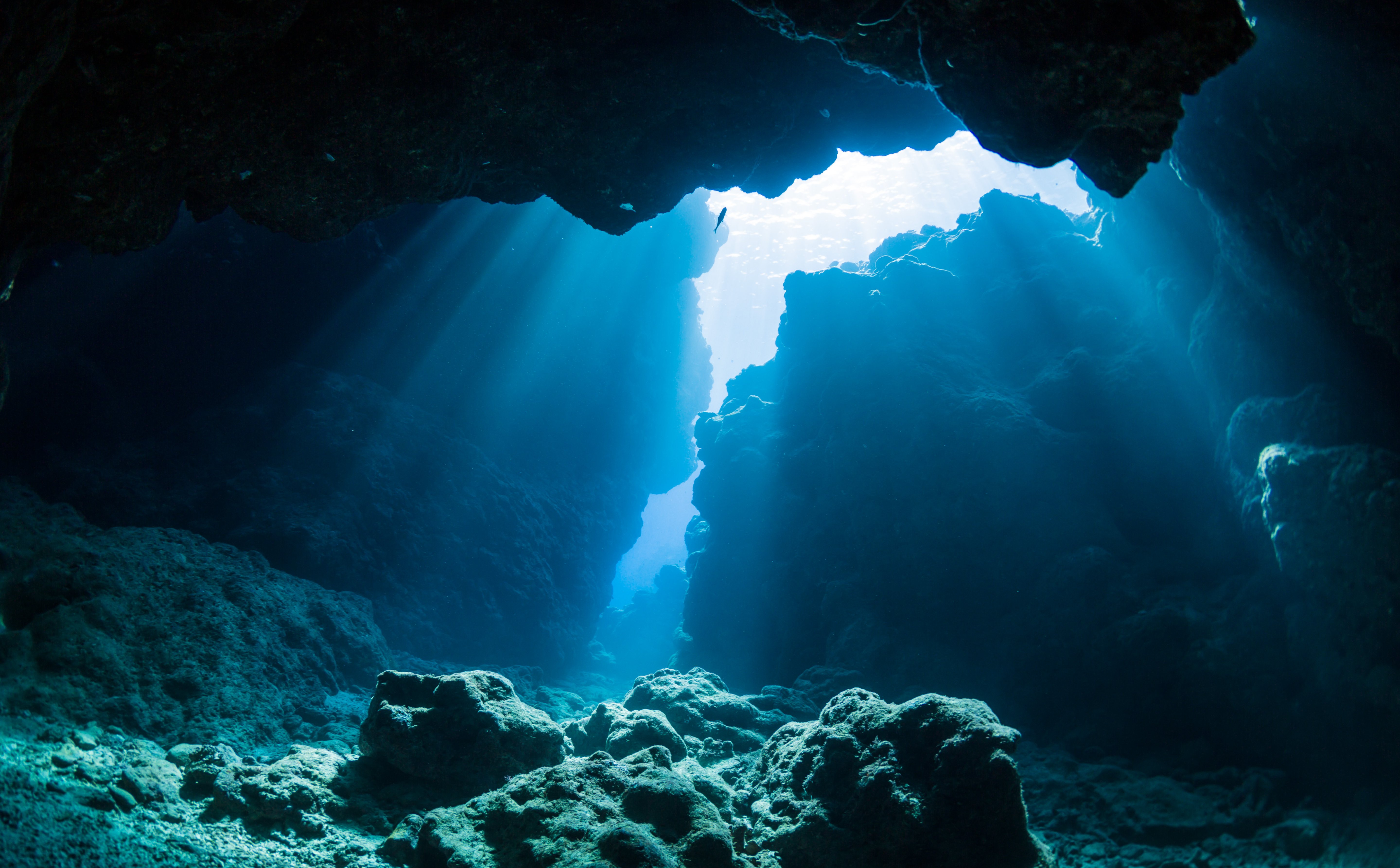 Naukowcy odkryli kolejne tajemnice denisowian. Co wiemy o kuzynach Homo sapiens?