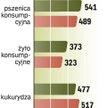 Coraz niższe ceny zbóż