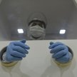Epidemia koronawirusa: Trzeci dzień z rzędu rekordowa liczba zakażeń w Czechach