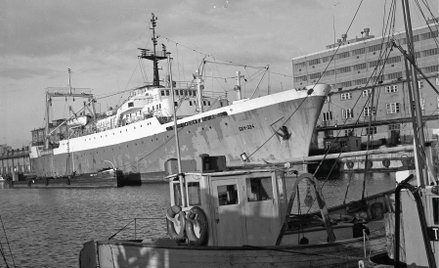 Ogółem w latach 1977–2002 polskie statki złowiły 201 tysięcy ton złotego runa. Na zdjęciu: trawler p