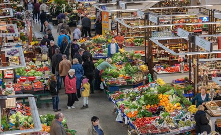 Listopad bez przymrozków