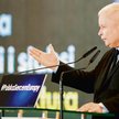 Proteza silnej władzy