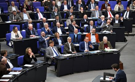 Członkowie AfD w Bundestagu