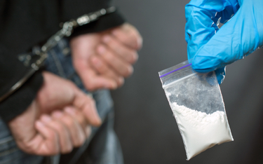 Handel narkotykami: Ponad 400 kg kokainy nie trafi na rynek
