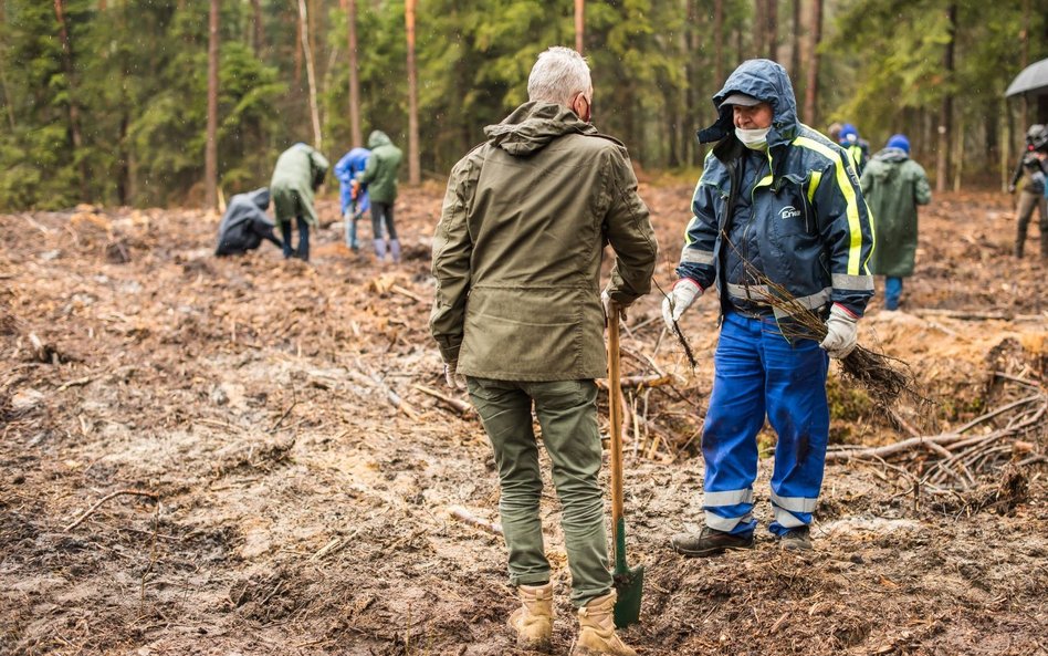 Troska o środowisko nie tylko w Dniu Ziemi – Enea dla zrównoważonego rozwoju