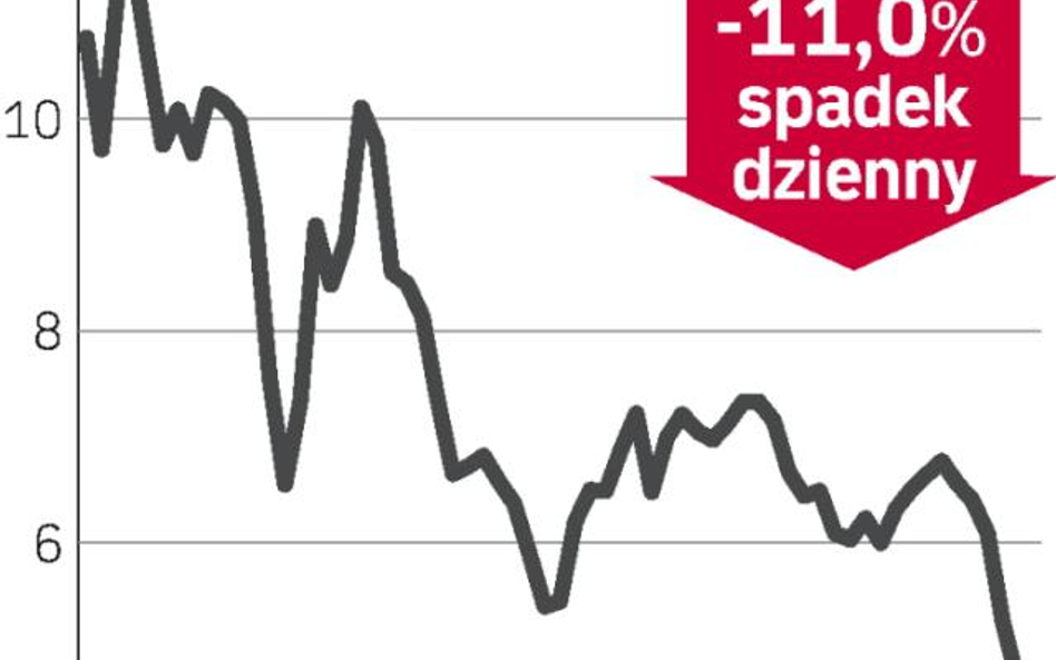 Pomoc państwa zaszkodziła kursowi