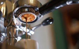 Bez względu na to, czy dopiero uczysz się rozróżniać smaki, czy pracujesz za barem – każdy znajdzie 