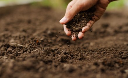 Ewa Szadkowska: I znów będzie awantura o ziemię