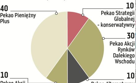 Warto postawić na akcje rynków wschodzących