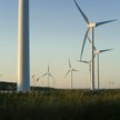 Największe firmy energetyczne w Polsce chcą OZE