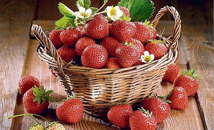 Truskawka kaszubska to pierwszy produkt regionalny z Pomorza zarejestrowany w Unii Europejskiej.