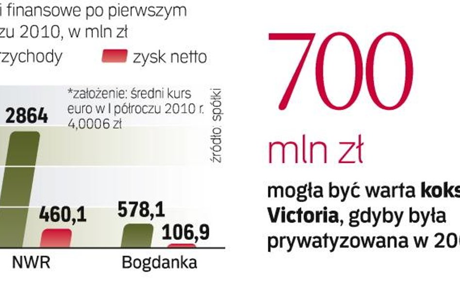 Giełdowy NWR celuje nie tylko w Bogdankę. Interesuje go koksownia Victoria. Nie wyklucza też udziału