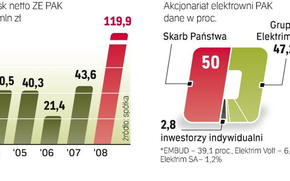 Skarb Państwa kilka lat temu oddał Elektrimowi kontrolę operacyjną nad PAK. Dlatego firma, która kup