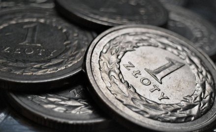 1 zł - ma wystarczyć do wypełnienia kapitału zakładowego spółki z ograniczoną odpowiedzialnością.