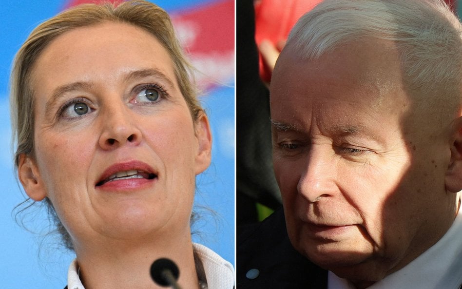 Alice Weidel i Jarosław Kaczyński