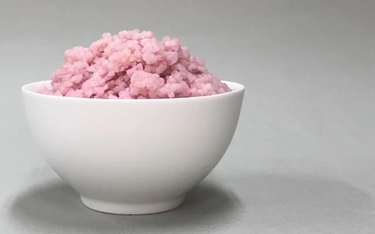 „Ryż wołowy” to dzieło naukowców z koreańskiego Yonsei University.