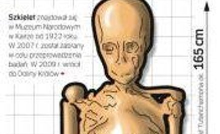 Faraon w laboratorium