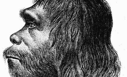 Pierwsza podobizna neandertalczyka