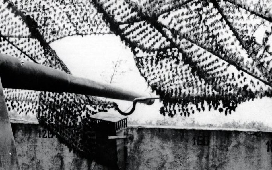 Zamaskowane stanowisko ogniowe działa kal. 152,4 mm 31. Baterii Artylerii Nadbrzeżnej im. Heliodora 