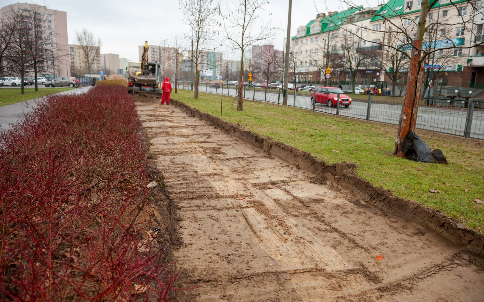 Rośnie sieć rowerowa w Polsce. Ale brakuje ogólnokrajowego kierunku
