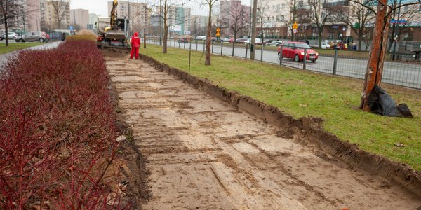 Rośnie sieć rowerowa w Polsce. Ale brakuje ogólnokrajowego kierunku