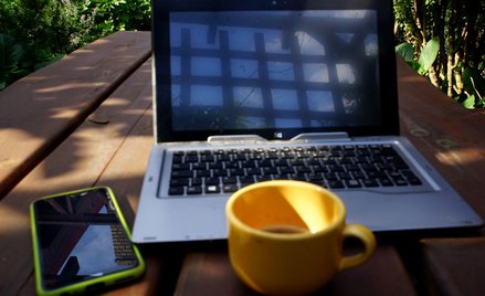 E-handel zyskuje na znaczeniu