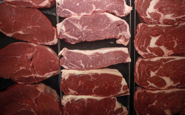 Europejskie kraje szukają trefnego mięsa z Polski