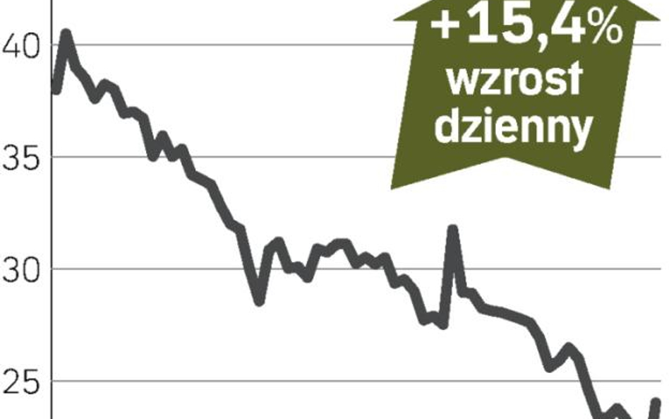 Poświąteczne odbicie notowań